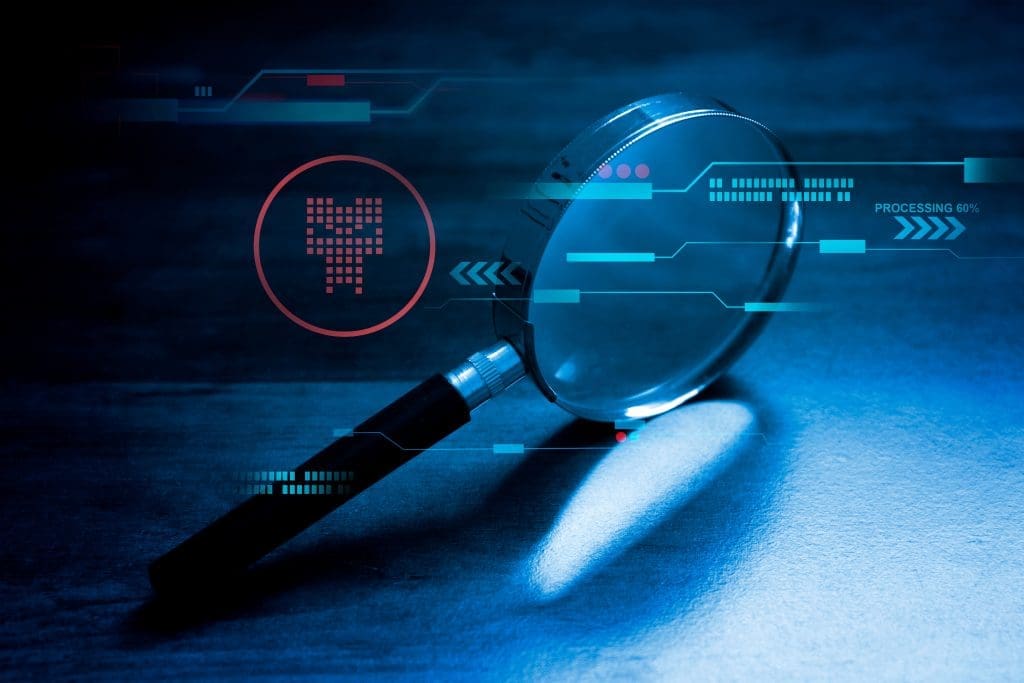 software security assessment , vulnerability check